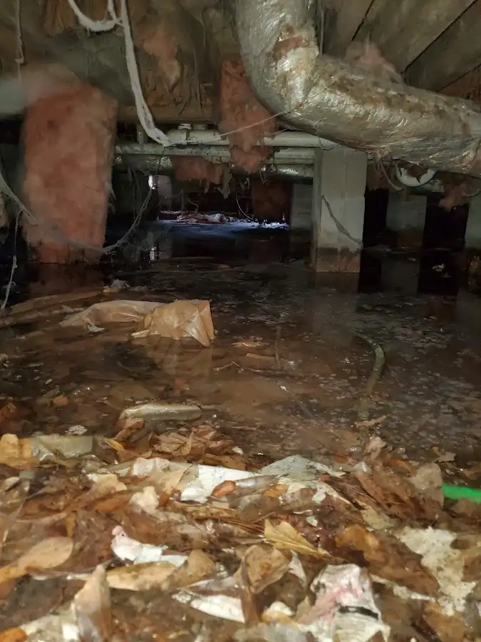 Crawl space flood assessment for Leak Detection & Repair in University